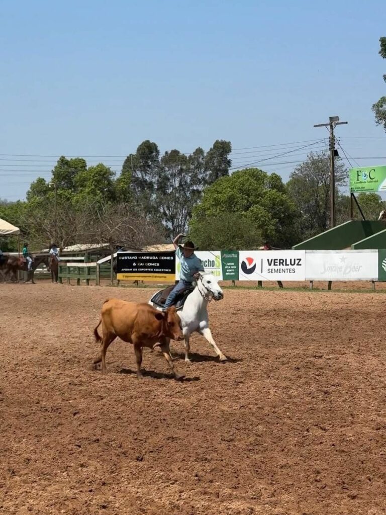 Retrospectiva 2025 – Cultura: projetos, tradições e fortalecimento artístico