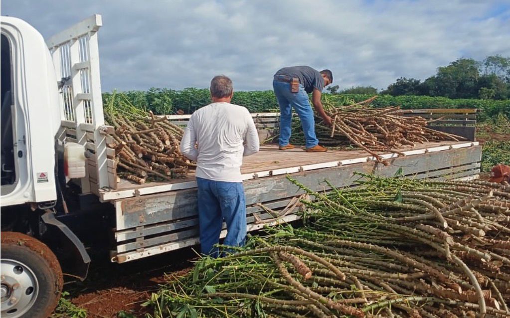 Retrospectiva 2025 – SEPRODES: apoio técnico e desenvolvimento rural