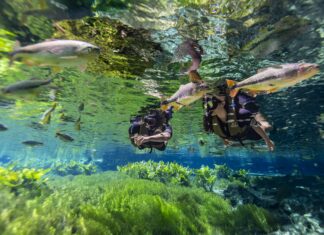 Justiça extingue ação contra a Prefeitura de Bonito que questionava a Taxa de Conservação Ambiental Category Template 1