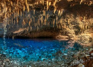 Gruta do Lago Azul registra maior visitação dos últimos cinco anos em Bonito Gestão na Mídia