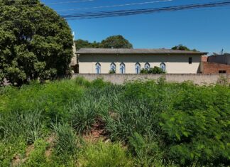 Prefeitura alerta proprietários sobre limpeza obrigatória de terrenos baldios Category Template 1