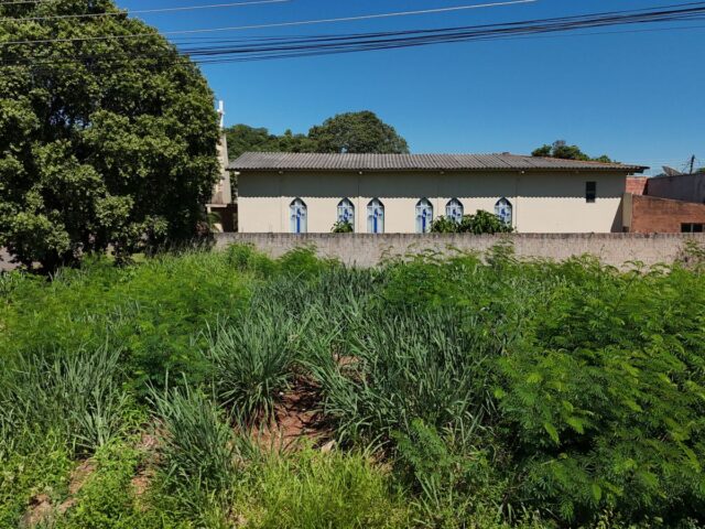 Prefeitura alerta proprietários sobre limpeza obrigatória de terrenos baldios