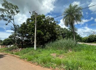 Prefeitura de Bonito divulga balanço da fiscalização de terrenos baldios Gestão na Mídia