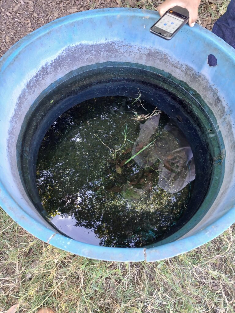 Boletim aponta casos de chikungunya e dengue em Bonito e alerta para prevenção