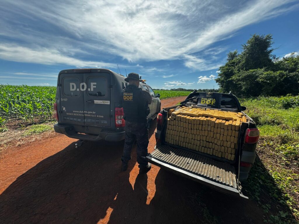 Operação Integrar apreende cerca de 2 toneladas de drogas e mobiliza forças de segurança na região sudoeste do Estado Operação Integrar apreende cerca de 2 toneladas de drogas e mobiliza forças de segurança na região sudoeste do Estado