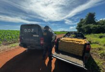 Operação Integrar apreende cerca de 2 toneladas de drogas e mobiliza forças de segurança na região sudoeste do Estado