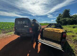 Operação Integrar apreende cerca de 2 toneladas de drogas e mobiliza forças de segurança na região sudoeste do Estado Gestão na Mídia
