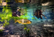 Bonito adere ao Pacto pela Sustentabilidade e pela Resiliência Climática dos Municípios de Mato Grosso do Sul