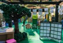 14ª Feira Socioambiental de Bonito começa nesta terça-feira com programação voltada à educação ambiental