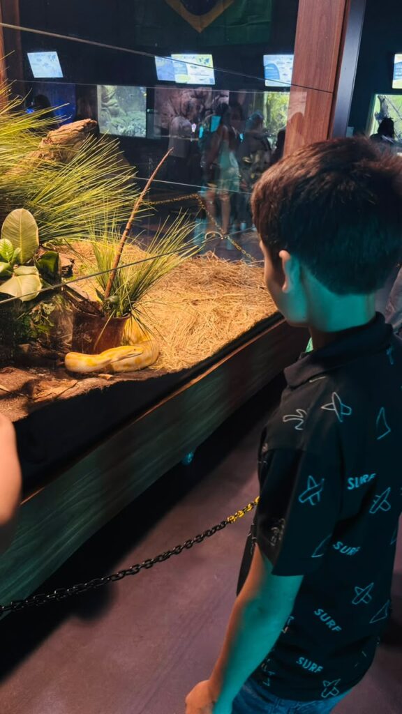 Alunos vencedores do Concurso de Desenhos 2025 visitam o Bioparque Pantanal