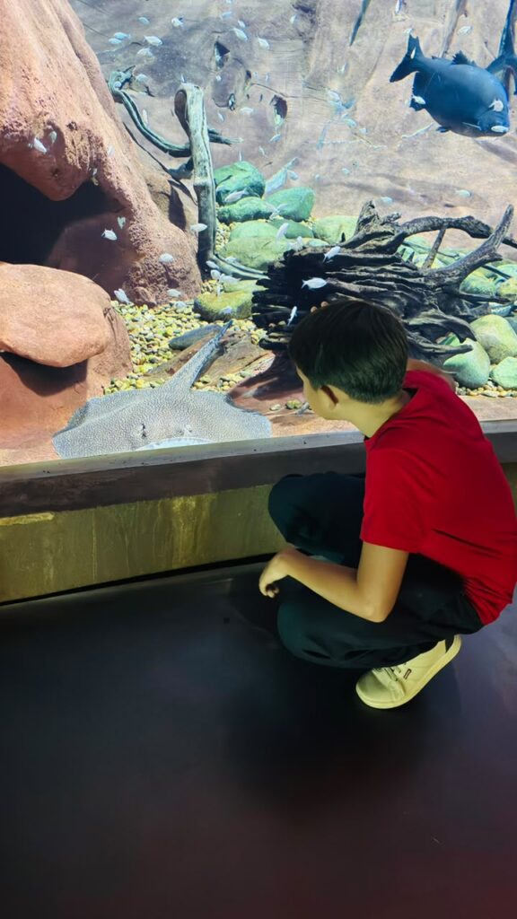 Alunos vencedores do Concurso de Desenhos 2025 visitam o Bioparque Pantanal
