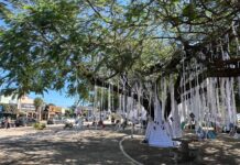Bonito dá início à 10ª edição da FLIB nesta terça-feira (7)