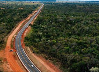 Investimento de R$ 5 milhões vai reforçar a proteção da fauna na MS-345, principal acesso a Bonito. Category Template 1