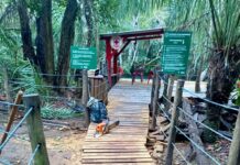 Balneário Municipal conclui construção e reforma dos decks
