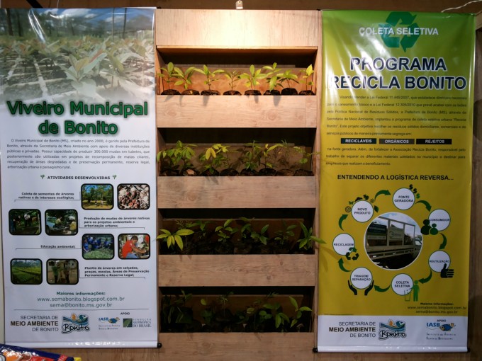 Semana do Meio Ambiente em Bonito (MS) é celebrada com Feira Socioambiental