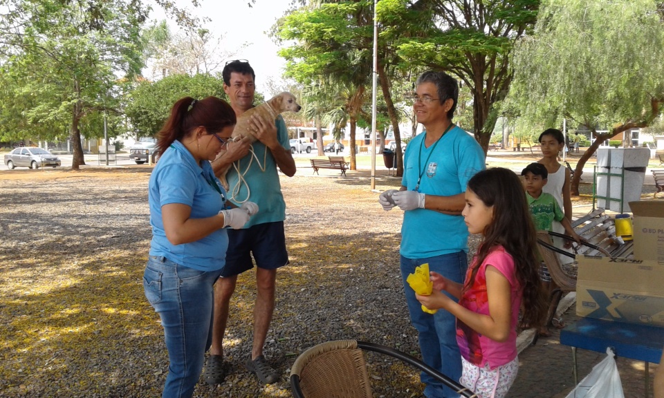 Vacinação antirrábica imunizou 1.150 cães e 207 gatos