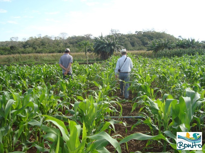 Produtor de hortaliças recebe visita da SEPRODES Produtor de hortaliças recebe visita da SEPRODES