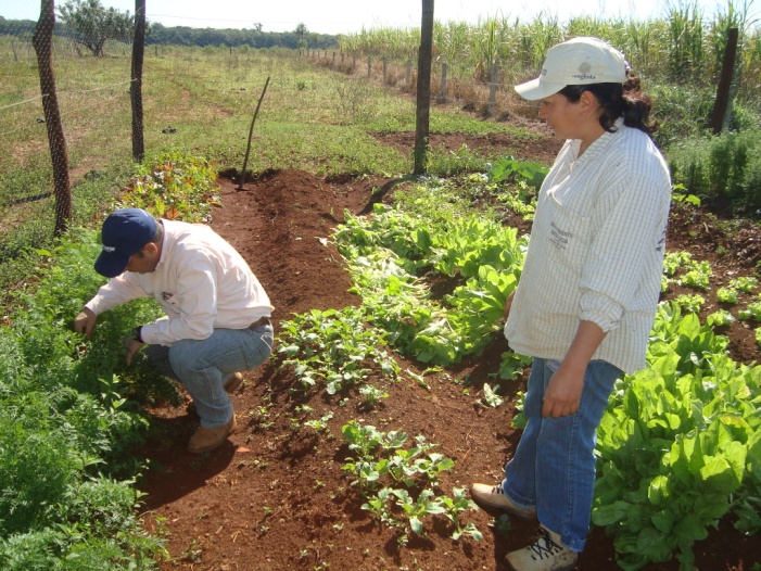 Pequenos produtores do Assentamento Santa Lúcia recebem orientações
