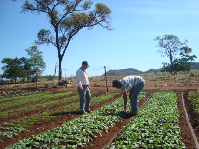 Pequenos produtores do Assentamento Santa Lúcia recebem orientações