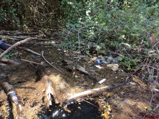 Córrego Bonito e Rio Formoso recebem atenção da comunidade bonitense