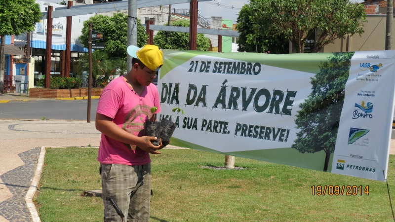 Dia da árvore é comemorado em Bonito (MS) com participação popular e inclusão social