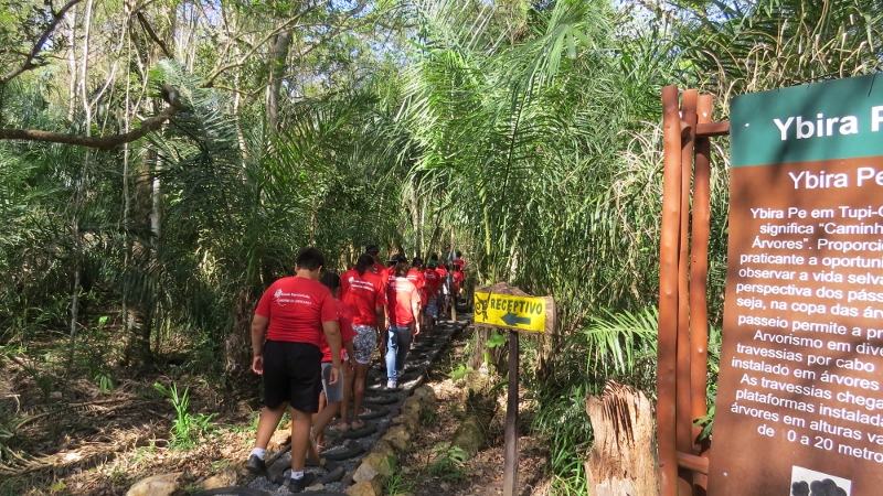 Dia da árvore é comemorado em Bonito (MS) com participação popular e inclusão social