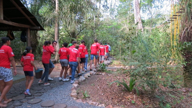 Dia da árvore é comemorado em Bonito (MS) com participação popular e inclusão social