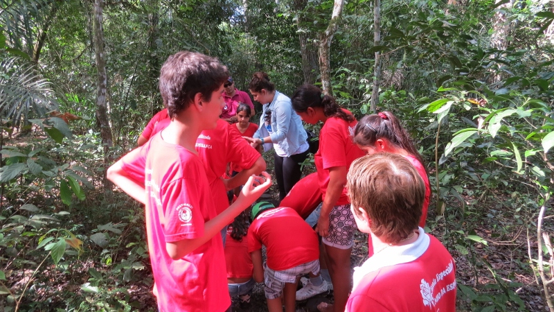 Dia da árvore é comemorado em Bonito (MS) com participação popular e inclusão social