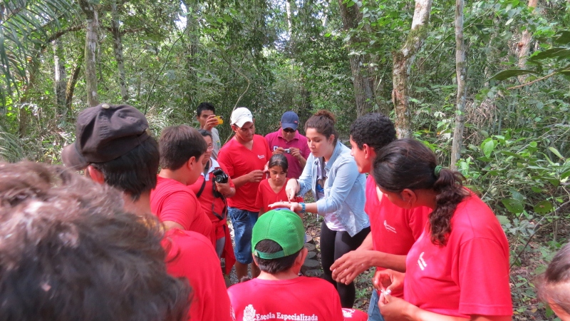 Dia da árvore é comemorado em Bonito (MS) com participação popular e inclusão social