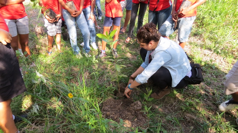 Dia da árvore é comemorado em Bonito (MS) com participação popular e inclusão social