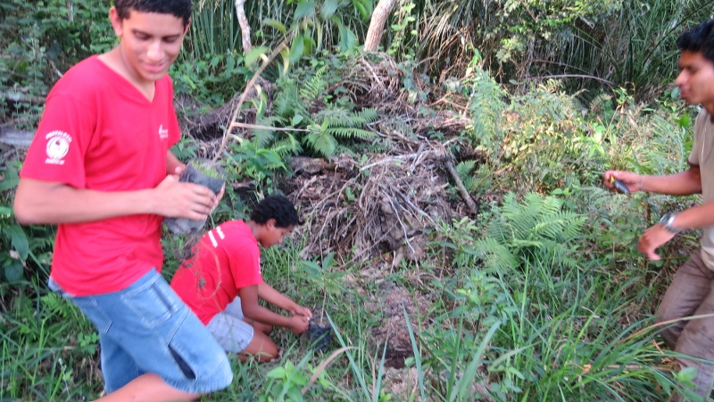 Dia da árvore é comemorado em Bonito (MS) com participação popular e inclusão social