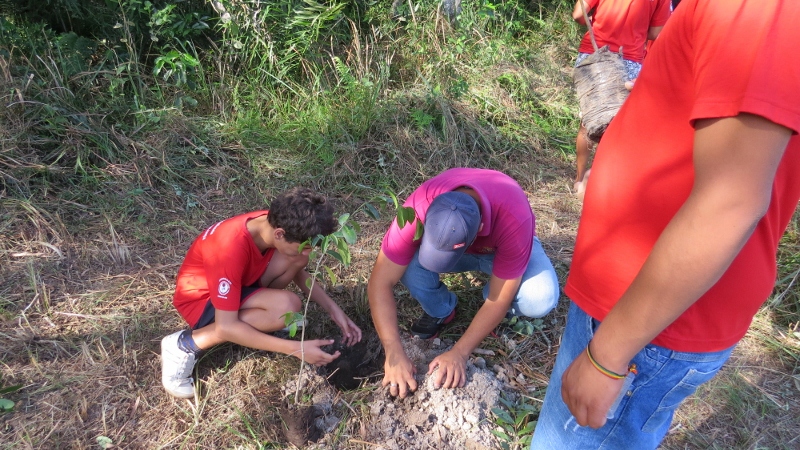 Dia da árvore é comemorado em Bonito (MS) com participação popular e inclusão social