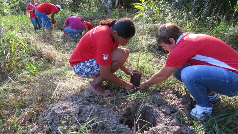 Dia da árvore é comemorado em Bonito (MS) com participação popular e inclusão social