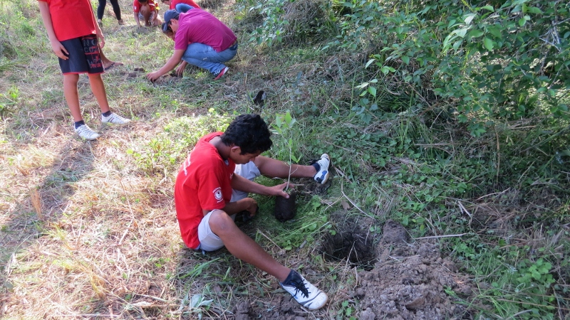Dia da árvore é comemorado em Bonito (MS) com participação popular e inclusão social