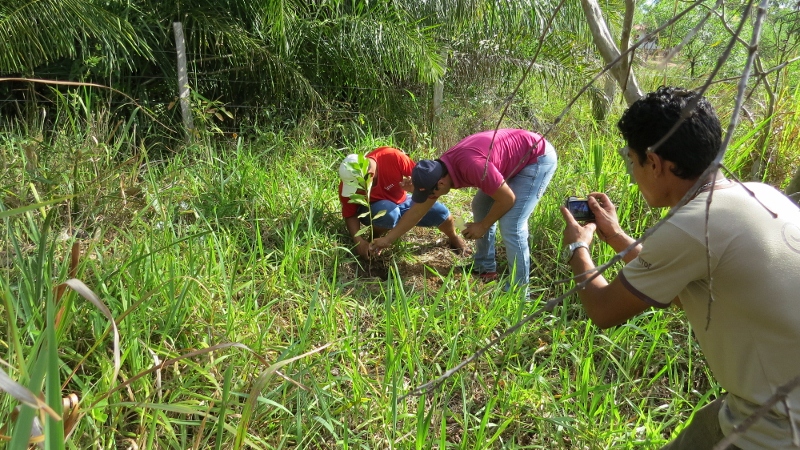 Dia da árvore é comemorado em Bonito (MS) com participação popular e inclusão social