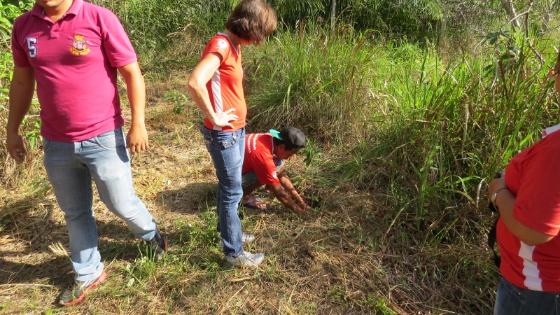 Dia da árvore é comemorado em Bonito (MS) com participação popular e inclusão social