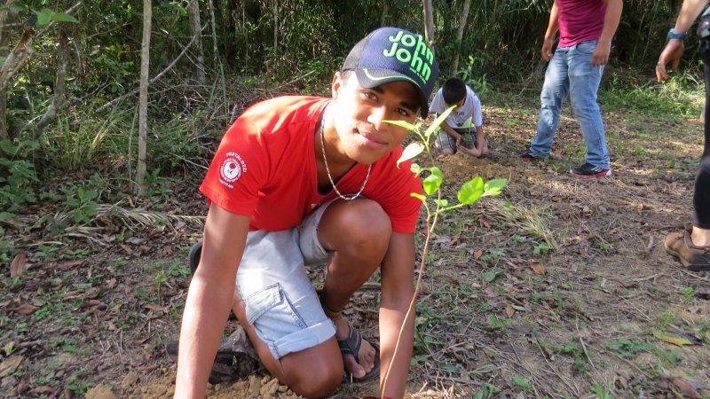 Dia da árvore é comemorado em Bonito (MS) com participação popular e inclusão social