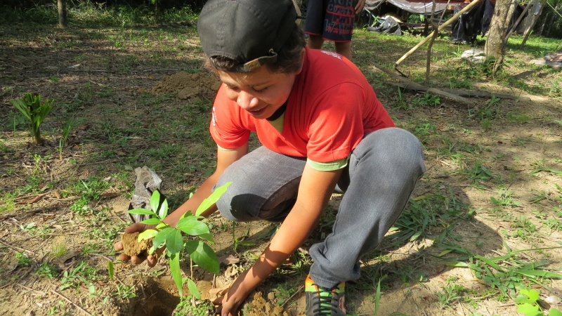 Dia da árvore é comemorado em Bonito (MS) com participação popular e inclusão social