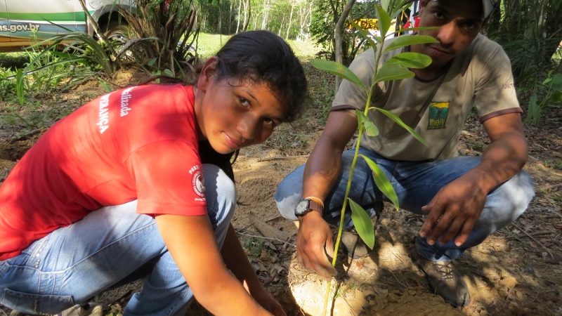 Dia da árvore é comemorado em Bonito (MS) com participação popular e inclusão social