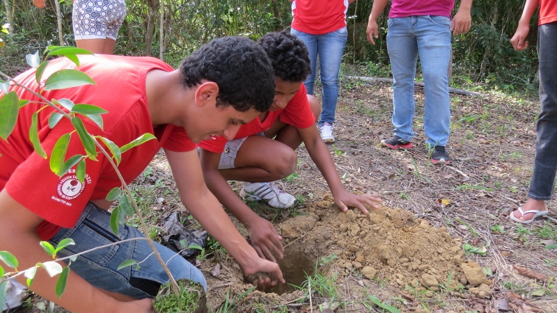 Dia da árvore é comemorado em Bonito (MS) com participação popular e inclusão social