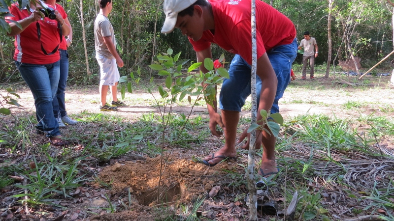 Dia da árvore é comemorado em Bonito (MS) com participação popular e inclusão social
