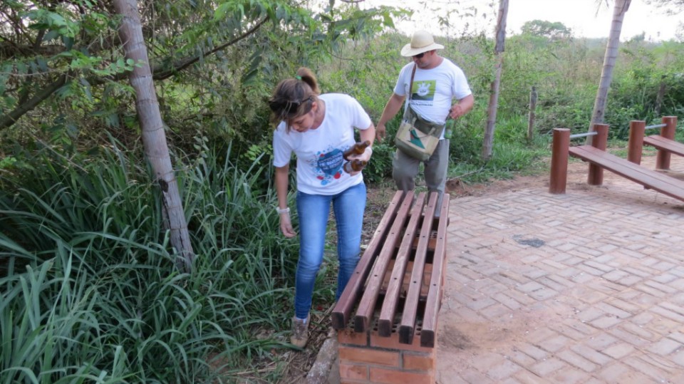 Pista de caminhada x Lixo