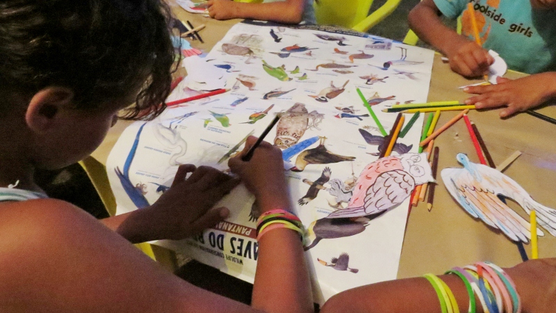 Encerramento da "Semana Municipal das Aves" será na Vila Donária