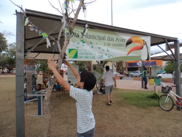 Dia Municipal das Aves é comemorado em Bonito (MS)