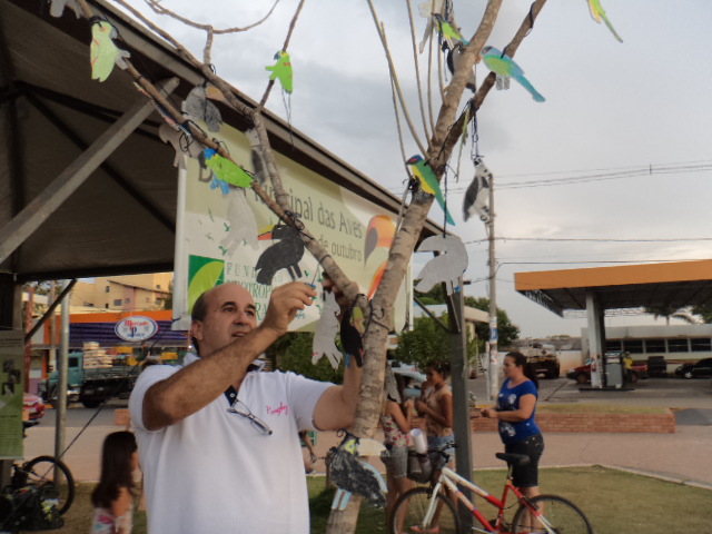 Dia Municipal das Aves é comemorado em Bonito (MS)