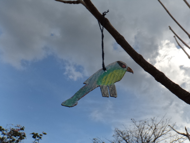 Dia Municipal das Aves é comemorado em Bonito (MS)