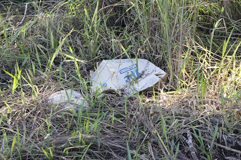 Mutirão em rodovia de Bonito recolhe 55 sacos de lixo