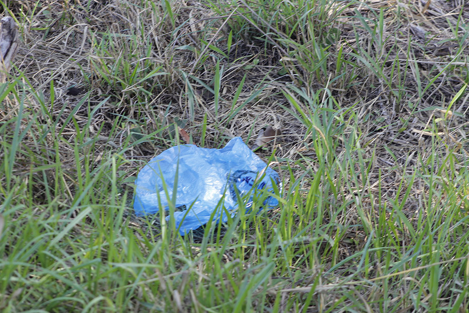 Mutirão em rodovia de Bonito recolhe 55 sacos de lixo