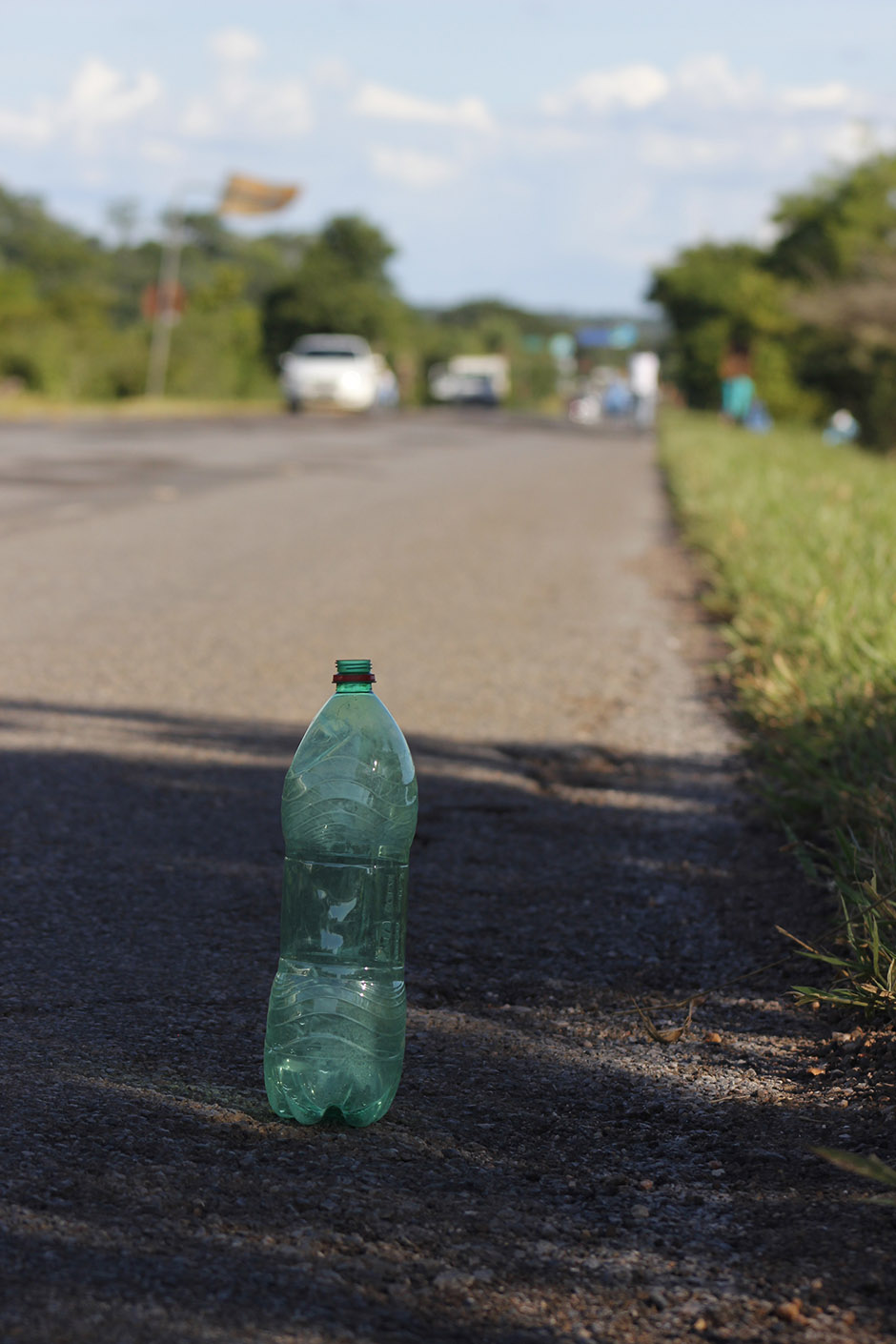 Mutirão em rodovia de Bonito recolhe 55 sacos de lixo