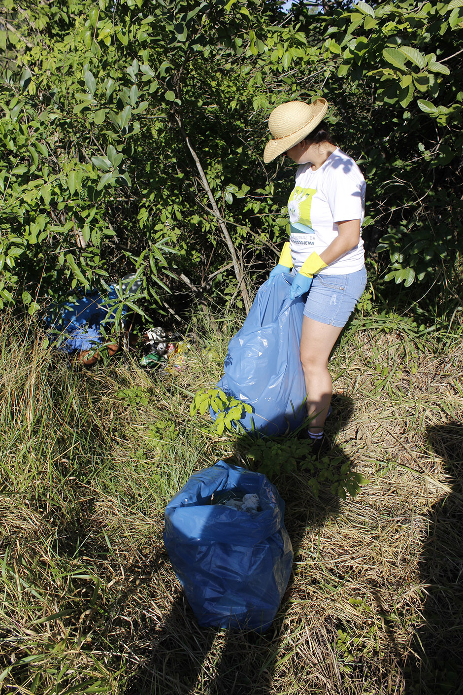 Mutirão em rodovia de Bonito recolhe 55 sacos de lixo